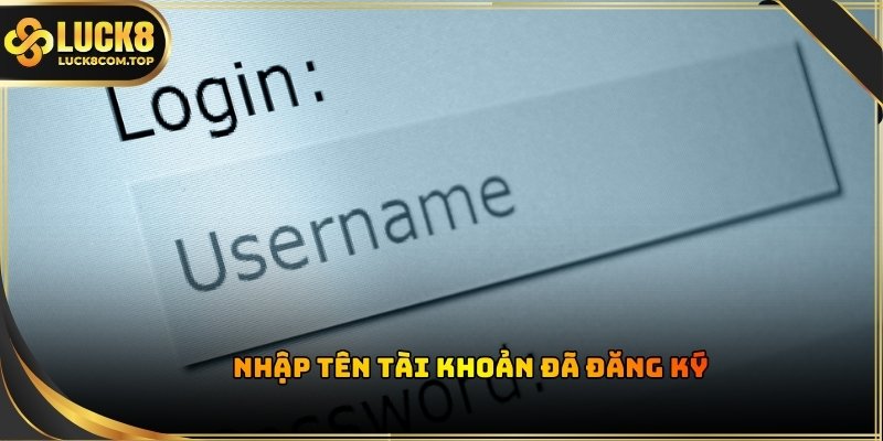 Người dùng cần nhập chính xác tên tài khoản đã tạo trước đó vào ô tương ứng trên giao diện